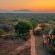 Pezulu Tree House Lodge - 230919