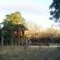 Pezulu Tree House Lodge - 230922