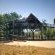 Pezulu Tree House Lodge - 230927