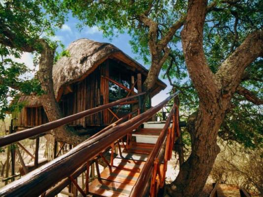 Pezulu Tree House Lodge - 230931