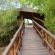 Pezulu Tree House Lodge - 230936