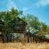 Pezulu Tree House Lodge - 230940