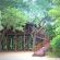 Pezulu Tree House Lodge - 230947