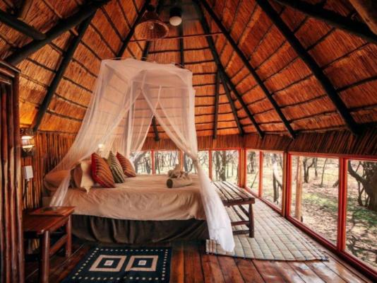 Pezulu Tree House Lodge - 230960