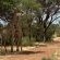 Kameeldoring Glamping Namibia - 231049