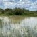 Kameeldoring Glamping Namibia - 231051