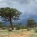 Kameeldoring Glamping Namibia - 231052