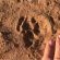 Kameeldoring Glamping Namibia - 231055