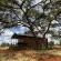Kameeldoring Glamping Namibia - 231079