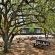 Braai/BBQ facilities