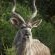 Etnika Manor House