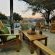 Elegant Desert Lodge - 231243