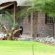 Elegant Desert Lodge - 231250