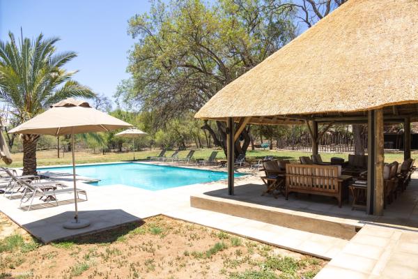 Mziki Safari Lodge - 231397