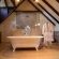 Welgelegen Manor - 231559