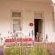 Le Ballon Rouge Guest House - 231562