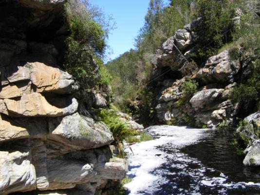 Storms River Guest Lodge - 231894