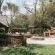 Buccara Waterberg - Molapo - 231967