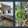 Hadeda Hall Bed & Breakfast - 232279