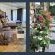 Hadeda Hall Bed & Breakfast - 232283