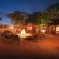 Ufumene Game Lodge - 232382