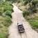 Elephant Plains Game Lodge - 232397