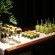 Elephant Plains Game Lodge - 232403