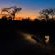 Elephant Plains Game Lodge - 232412