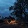 Elephant Plains Game Lodge - 232416