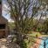 Linden Guesthouse - 232510