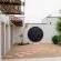 Sandseed Swakop - 232610