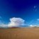 Sandseed Swakop - 232634