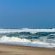 Sandseed Swakop - 232635