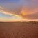 Sandseed Swakop - 232636