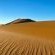 Sandseed Swakop - 232637