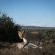 Kuzuko Lodge - 232923