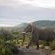 Kuzuko Lodge - 232924