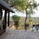 Tomo Safari Lodge - 233091