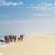 Wamakersvlei Beach Farm - 233145