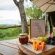 Madikwe Safari Lodge - 233226