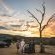 Madikwe Safari Lodge - 233231