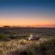 Madikwe Safari Lodge - 233234