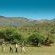 Madikwe Safari Lodge - 233239