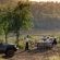 Madikwe Safari Lodge - 233240