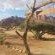 Spitzkoppe Tented Camp and Campsite - 233275