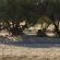 Spitzkoppe Tented Camp and Campsite - 233292