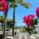 Southern Cross Guesthouse - 233380