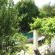 Sunny Lane - 233444