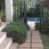Sunny Lane - 233445