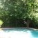 Sunny Lane - 233446